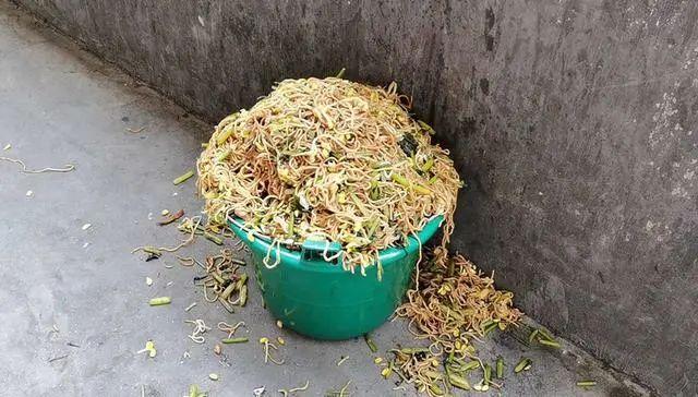小學(xué)營(yíng)養餐溢出垃圾桶這種浪費行為后續處理來(lái)了